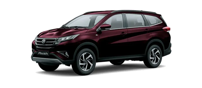 Deep Maroon Mica